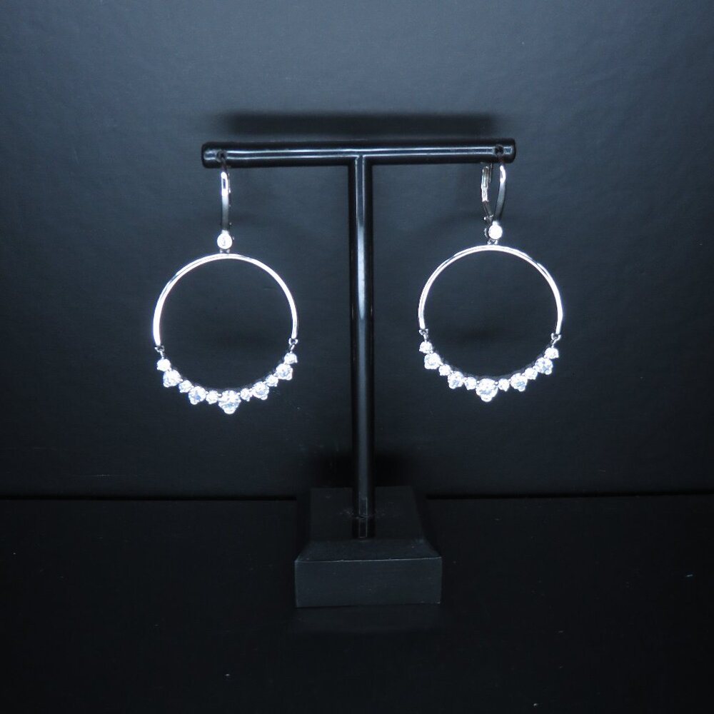 Circle Dangle Earrings with Clear Stones